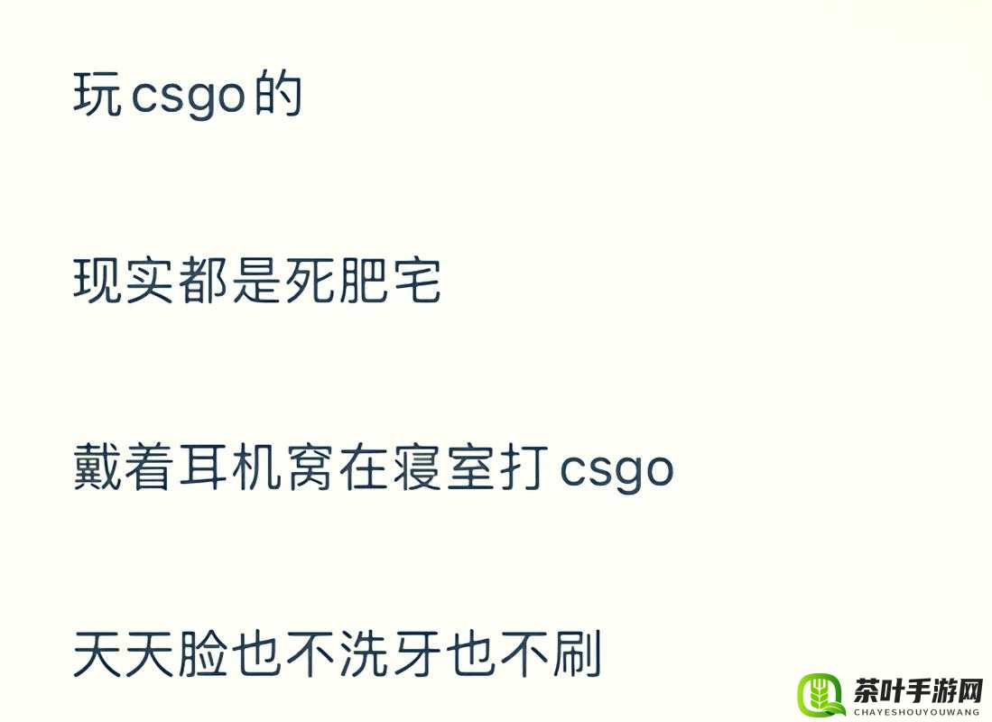 揭秘暴躁老阿姨 csgo 技巧：深入剖析其致胜秘诀