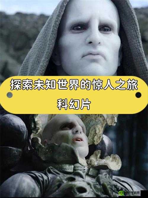 神秘电影 5 条路径：探索未知世界的奇妙指引